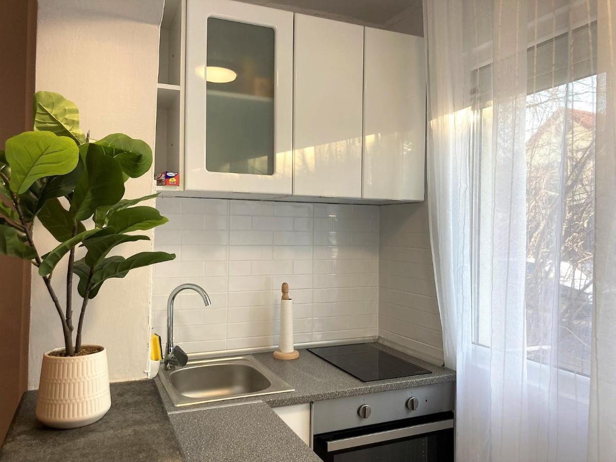 Lovely Apartment In A Quiet Area Cluj-Napoca Eksteriør bilde